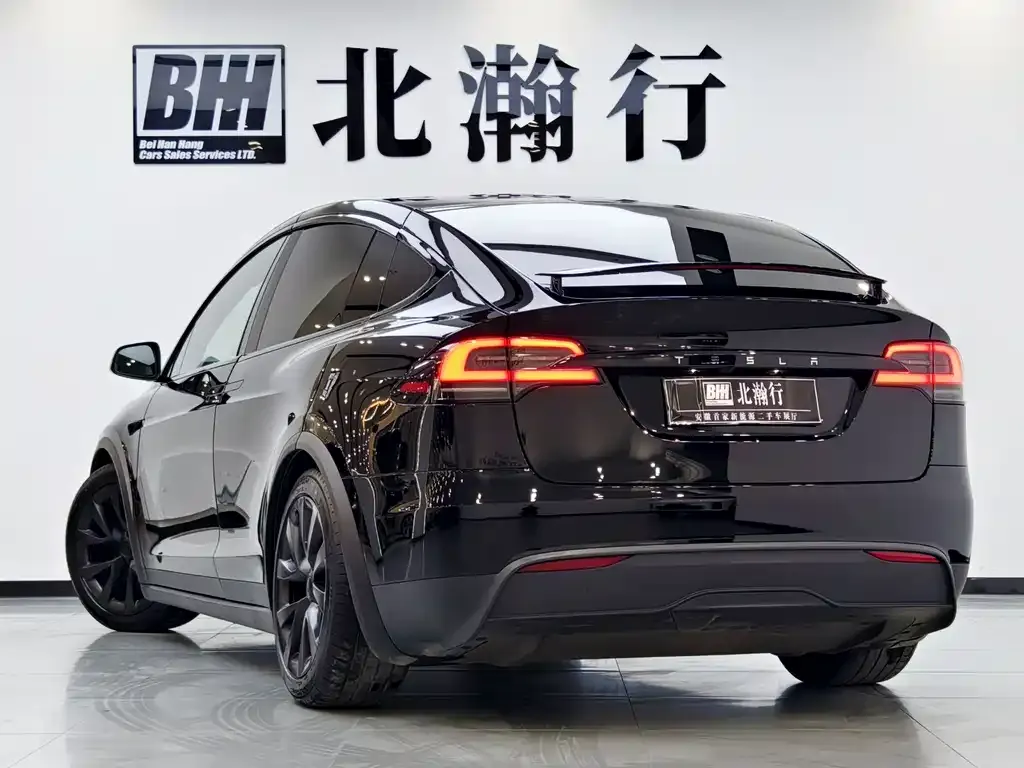Tesla Model X 2023 из CN, фото 9