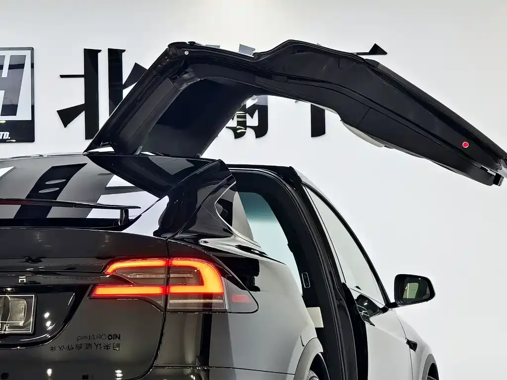 Tesla Model X 2023 из CN, фото 4