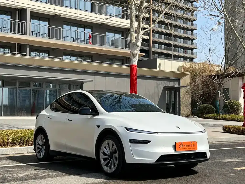Tesla Model Y — фото 9