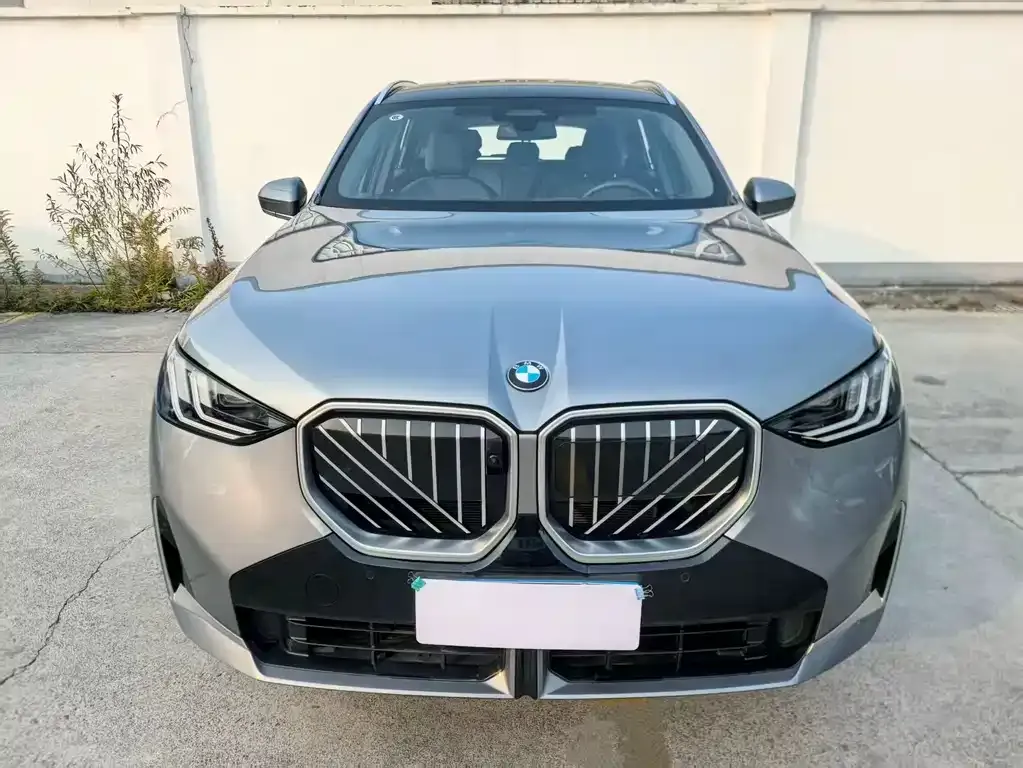 BMW X3 2025 из CN, фото 2