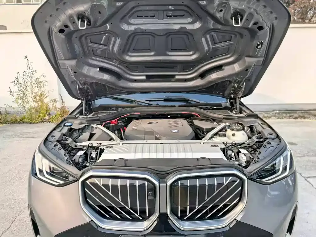 BMW X3 2025 из CN, фото 6