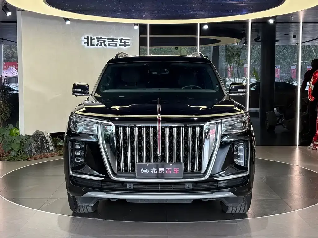 Hongqi Golden Sunflower Guoyao 2023 из CN, фото 10