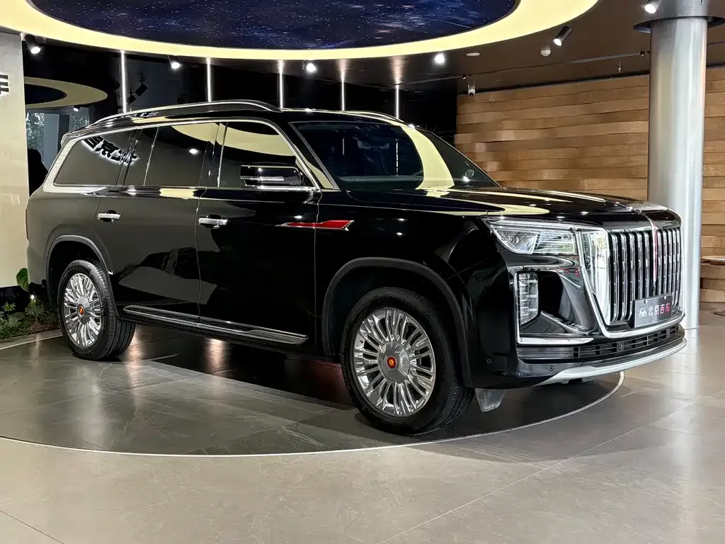 Hongqi Golden Sunflower Guoyao 2023 из CN, фото 3