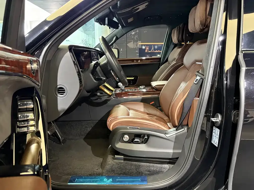 Hongqi Golden Sunflower Guoyao 2023 из CN, фото 8