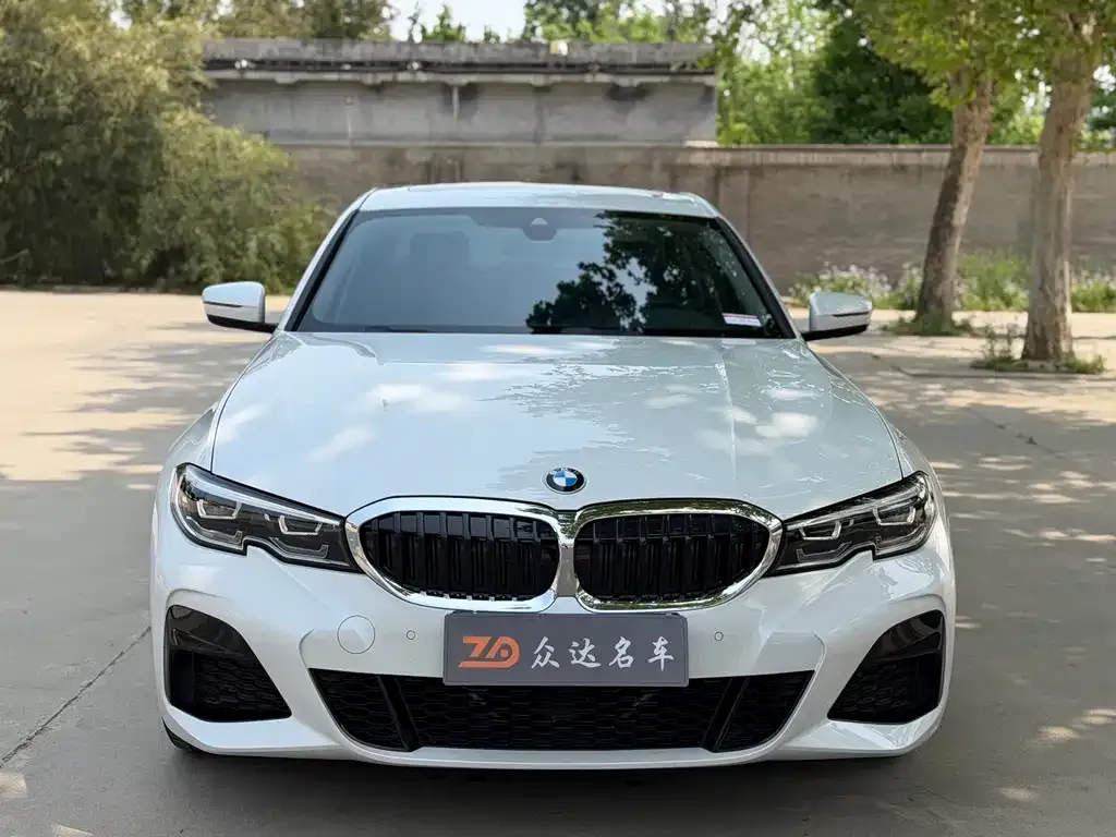 BMW 3 Series 2021 из CN, фото 6