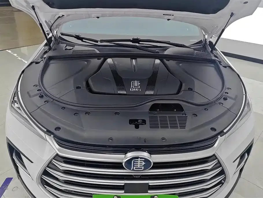 BYD Tang New Energy 2023 из CN, фото 8