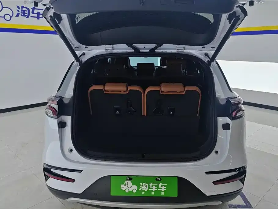 BYD Tang New Energy 2023 из CN, фото 4
