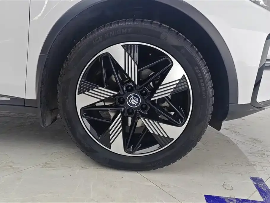 BYD Tang New Energy 2023 из CN, фото 3