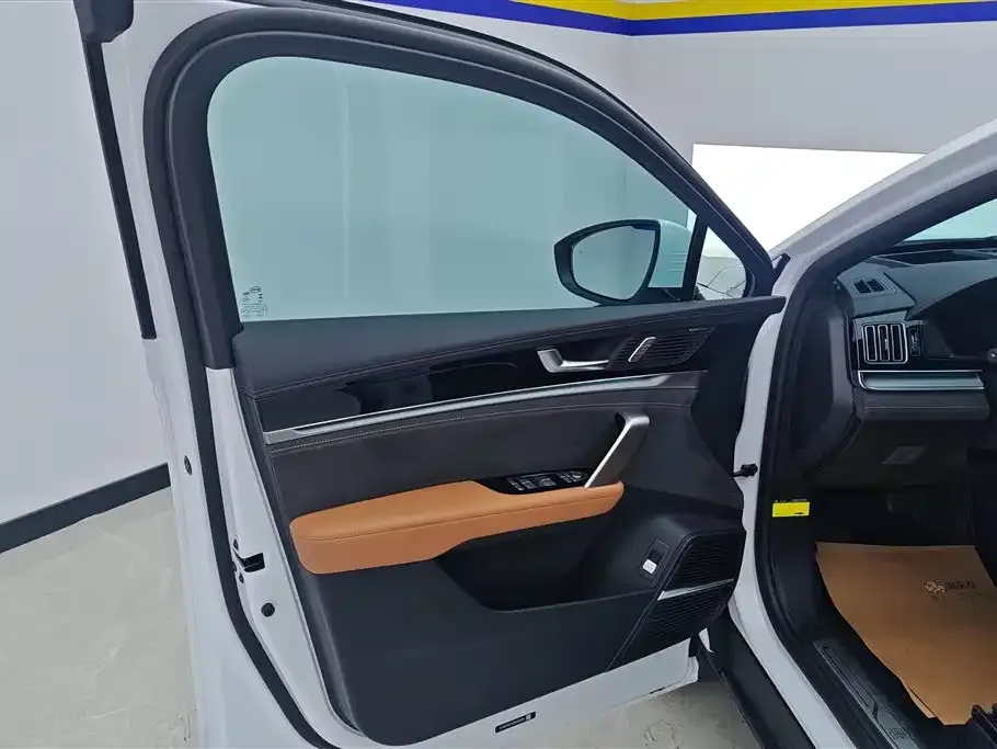 BYD Tang New Energy 2023 из CN, фото 7