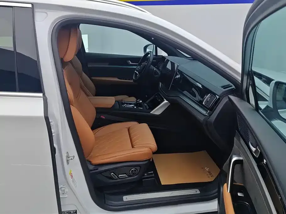 BYD Tang New Energy 2023 из CN, фото 9