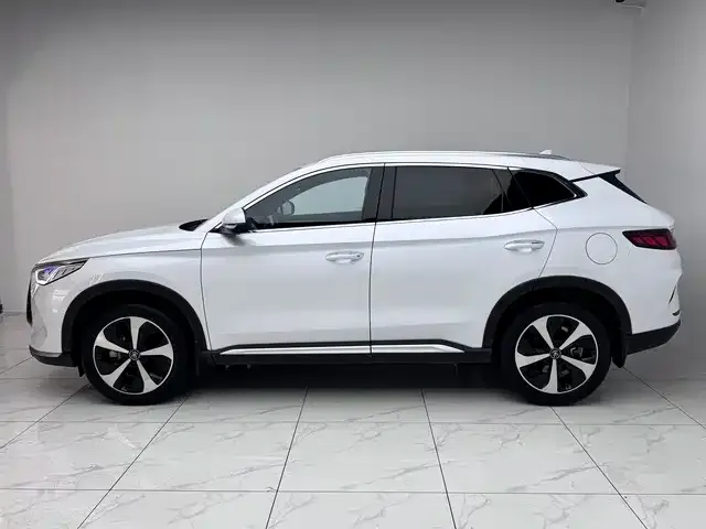 BYD PLUS New Energy — фото 2