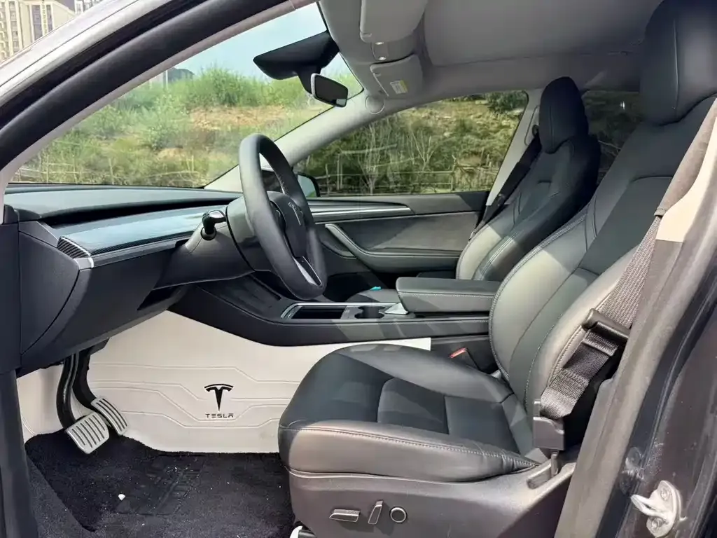 Tesla Model Y 2024 из CN, фото 6