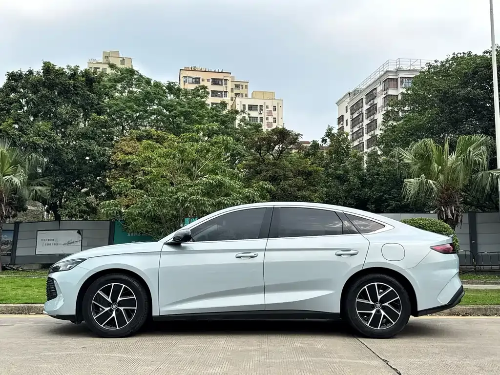 BYD Qin L 2024 из CN, фото 10