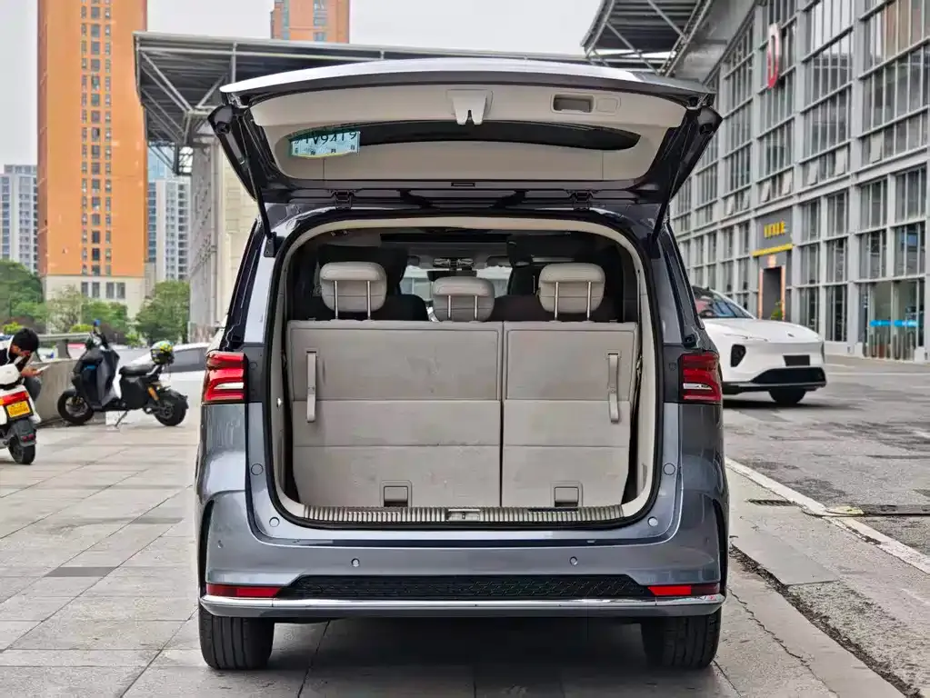 Roewe iMAX8 New Energy 2024 из CN, фото 9
