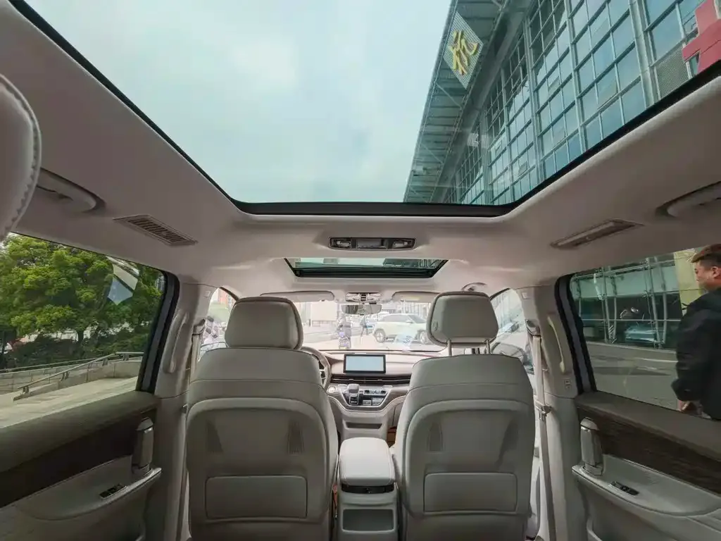 Roewe iMAX8 New Energy 2024 из CN, фото 2