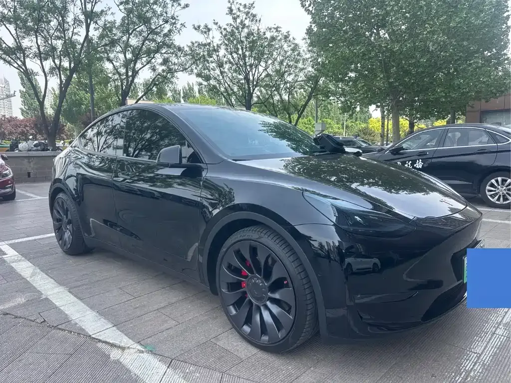Tesla Model Y 2023 из CN, фото 10