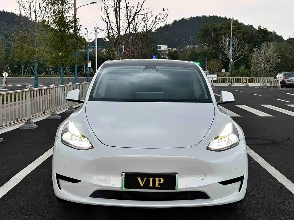 Tesla Model Y 2023 из CN, фото 9