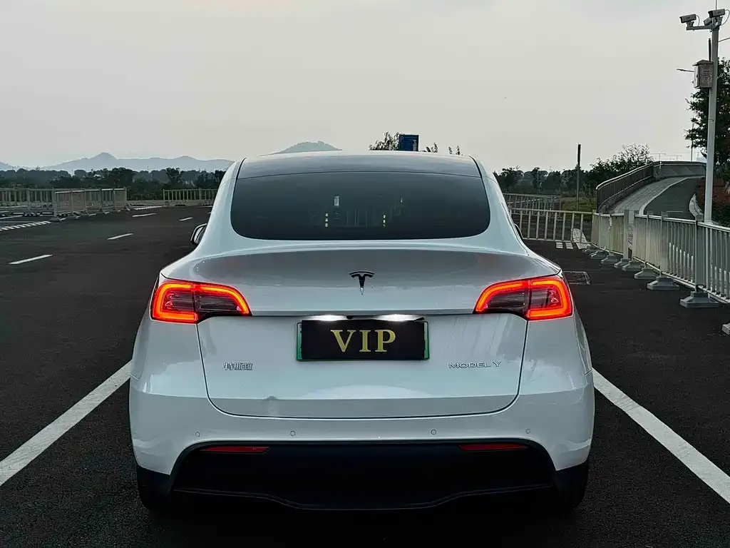 Tesla Model Y 2023 из CN, фото 6