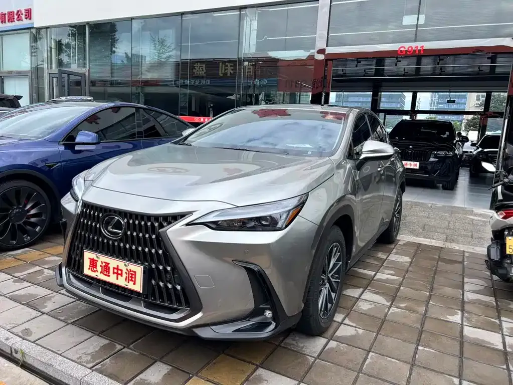 Lexus NX New Energy