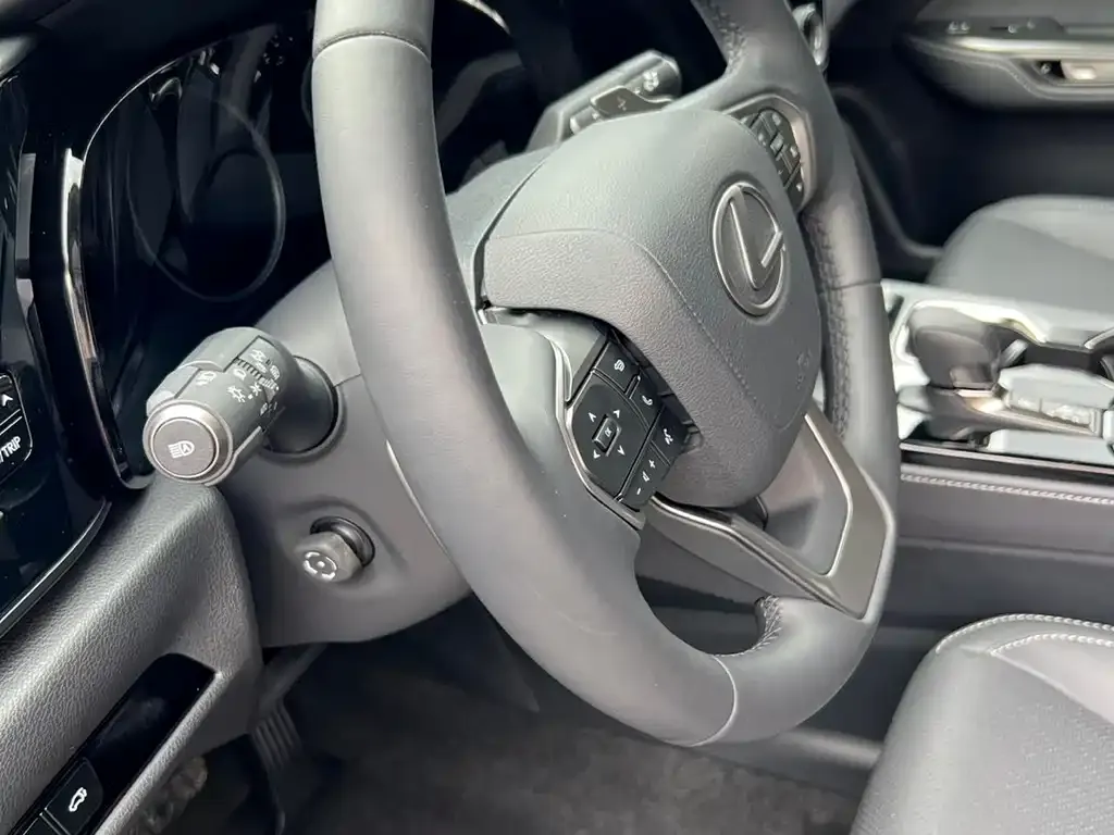 Lexus NX New Energy 2024 из CN, фото 7