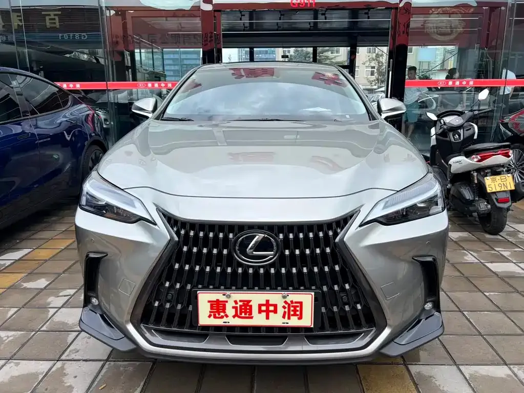 Lexus NX New Energy 2024 из CN, фото 4