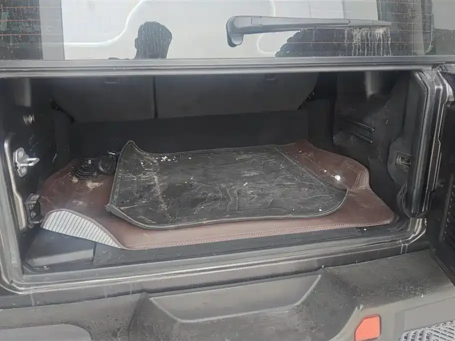 Jeep Wrangler PHEV 2021 из CN, фото 3