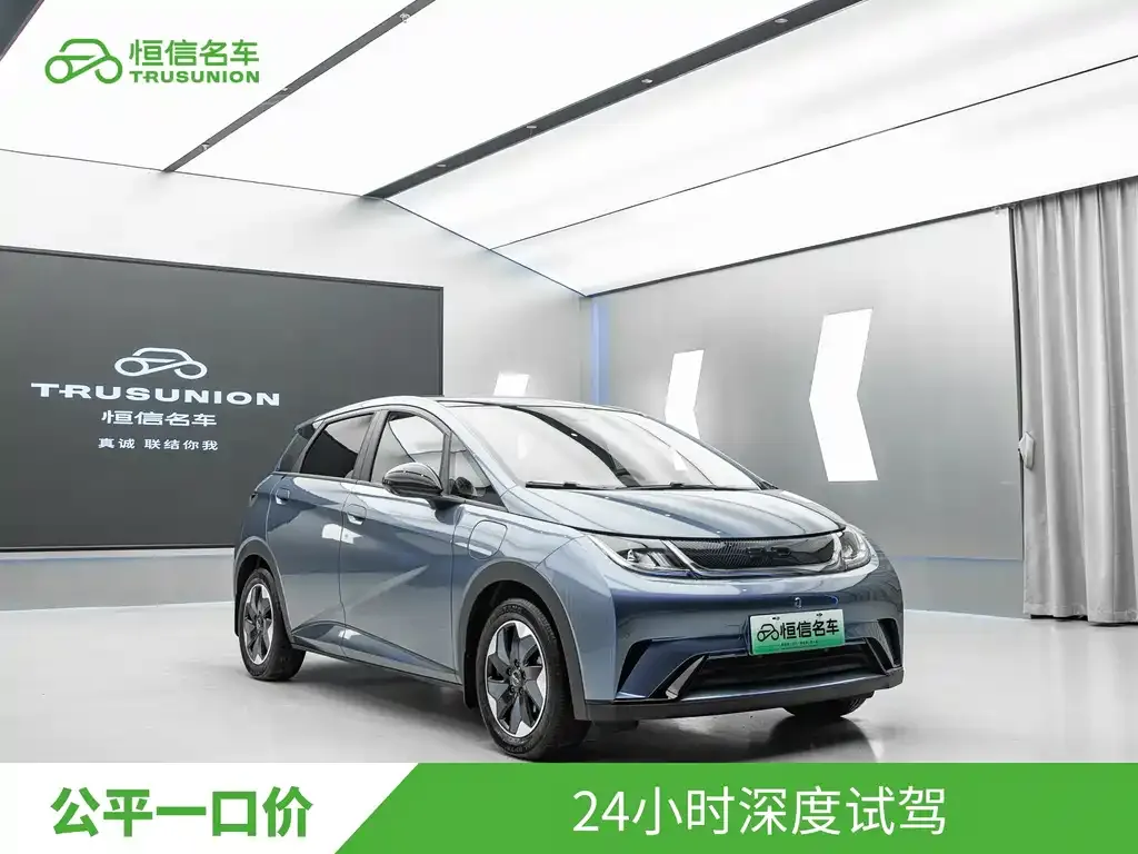 BYD Dolphin 2024 из CN, фото 8
