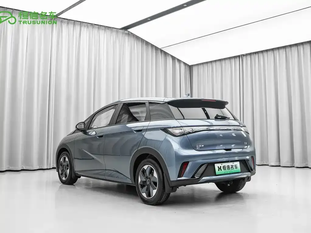 BYD Dolphin 2024 из CN, фото 7