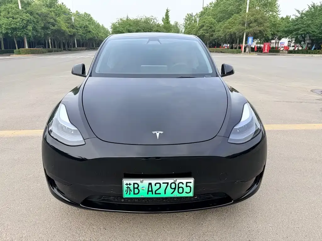 Tesla Model Y — фото 3
