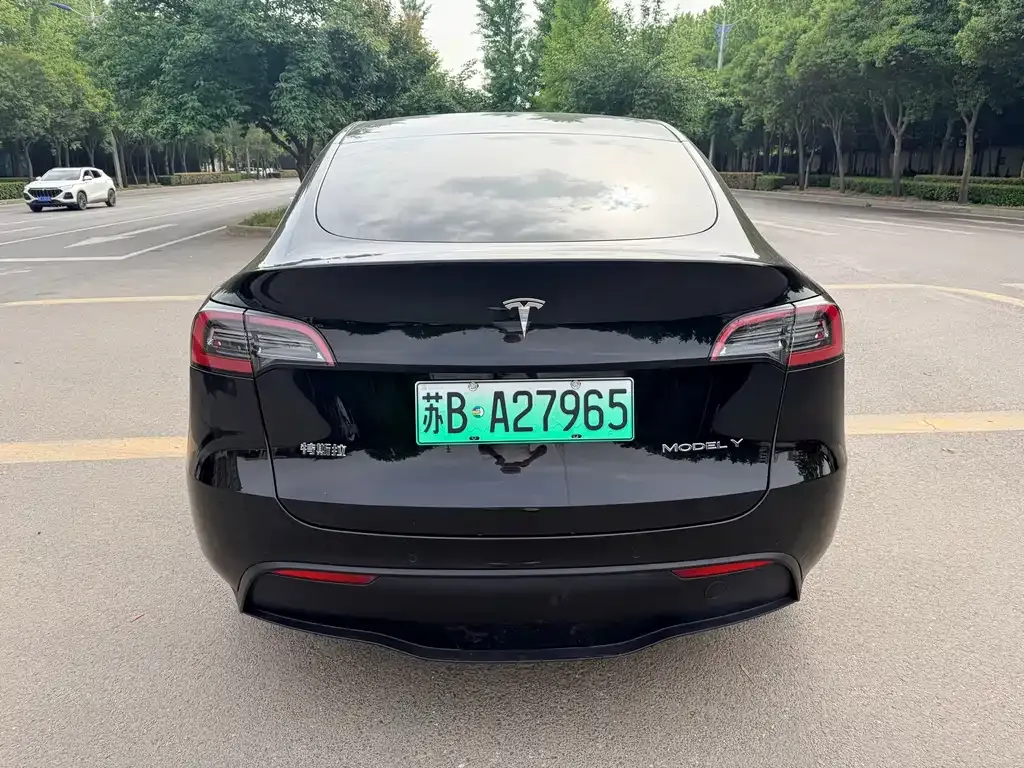 Tesla Model Y — фото 5