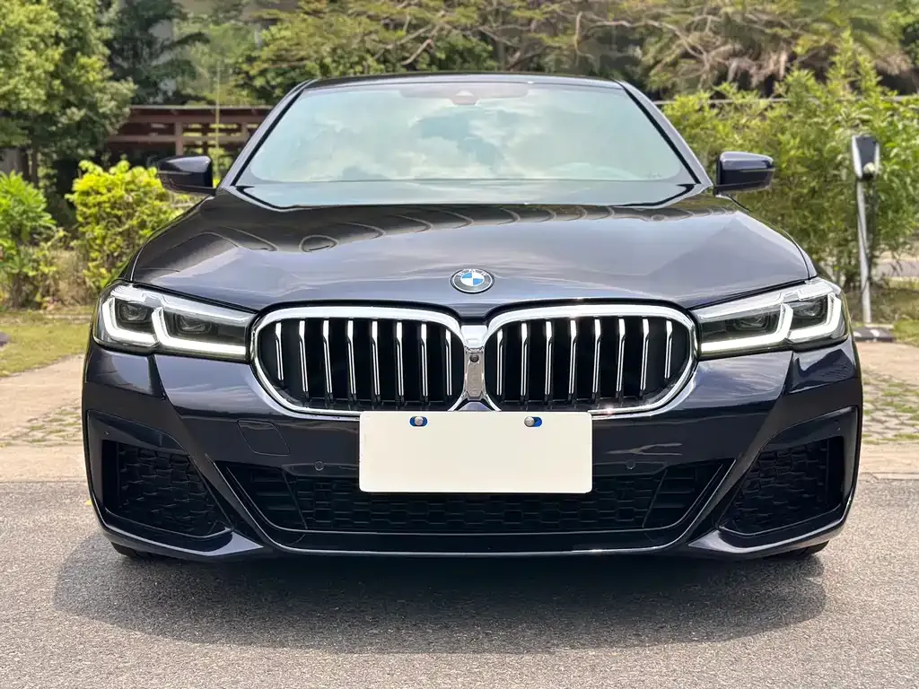 BMW 5 Series (Import) — фото 8