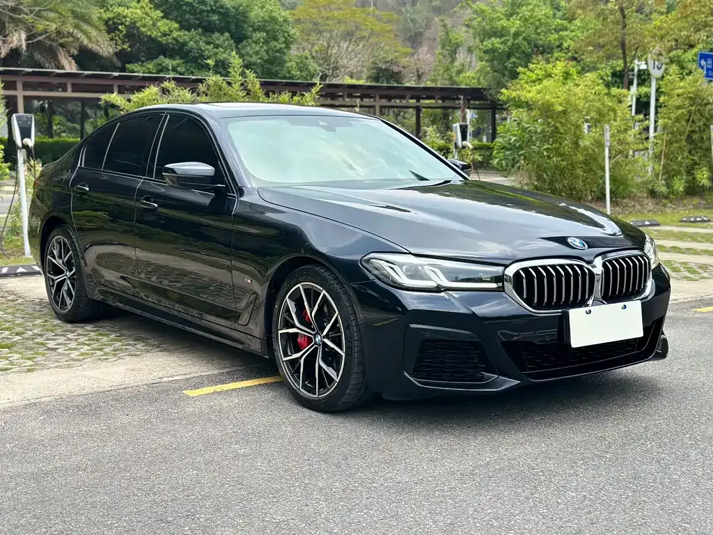 BMW 5 Series (Import) — фото 10