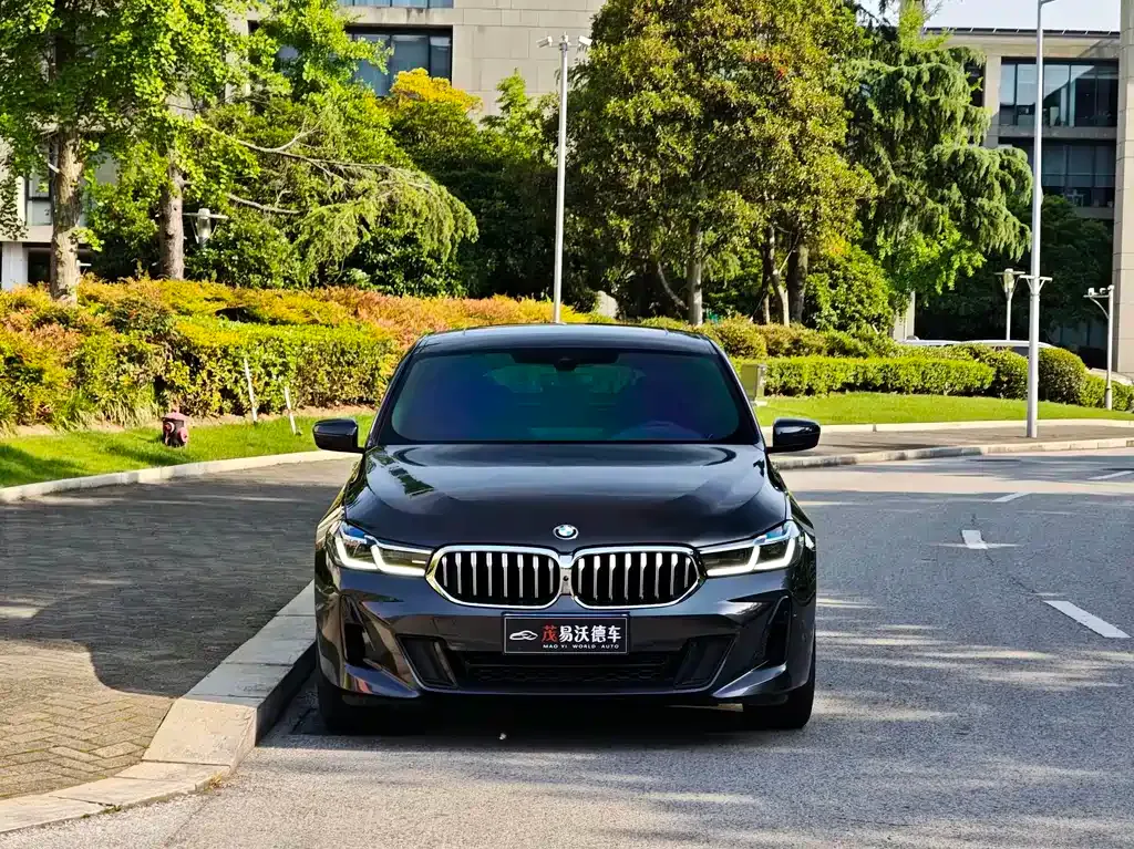 BMW 6 Series GT 2021 из CN, фото 9