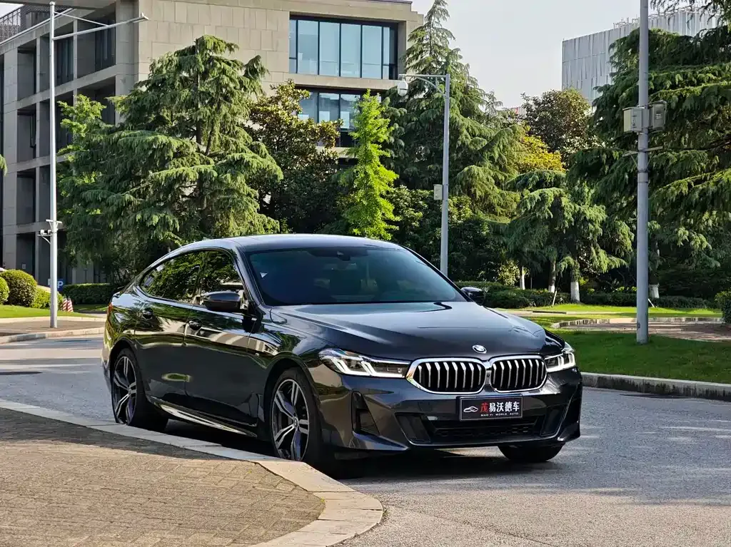 BMW 6 Series GT 2021 из CN, фото 8