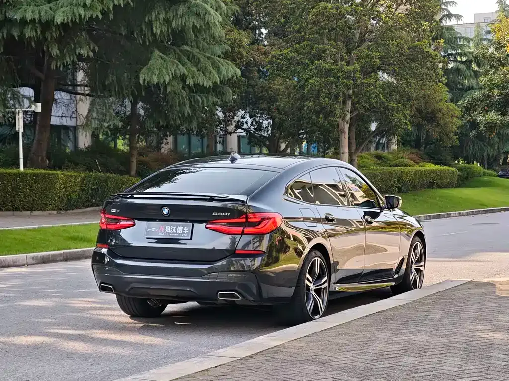 BMW 6 Series GT 2021 из CN, фото 5