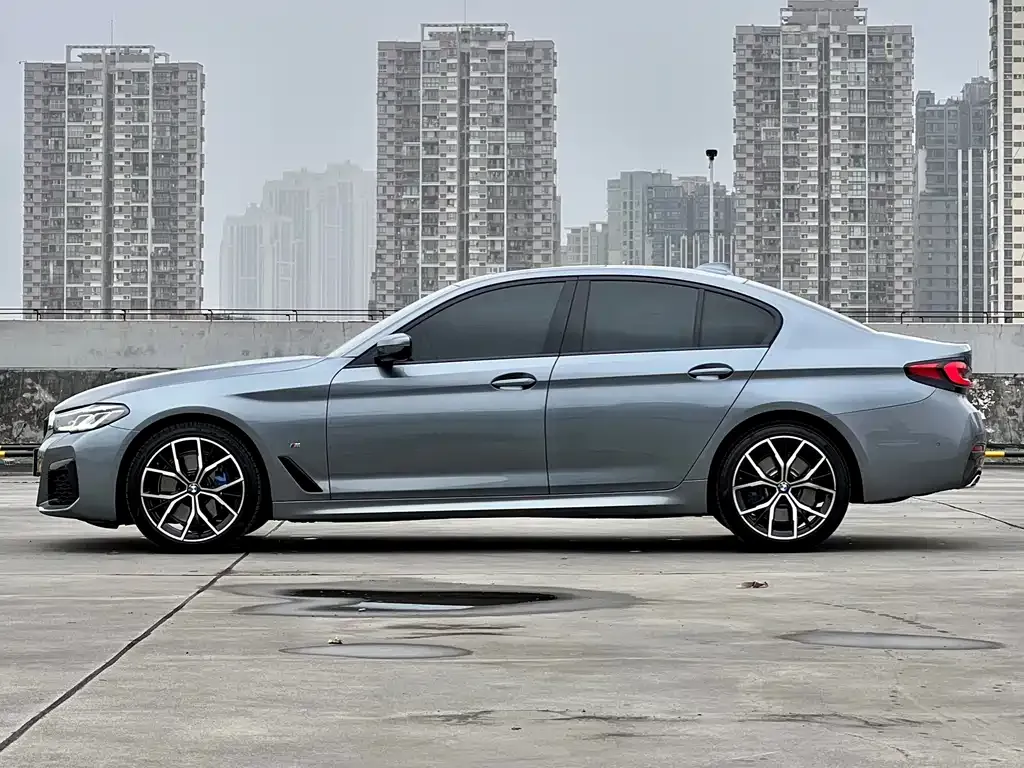 BMW 5 Series (Import) 2022 из CN, фото 8