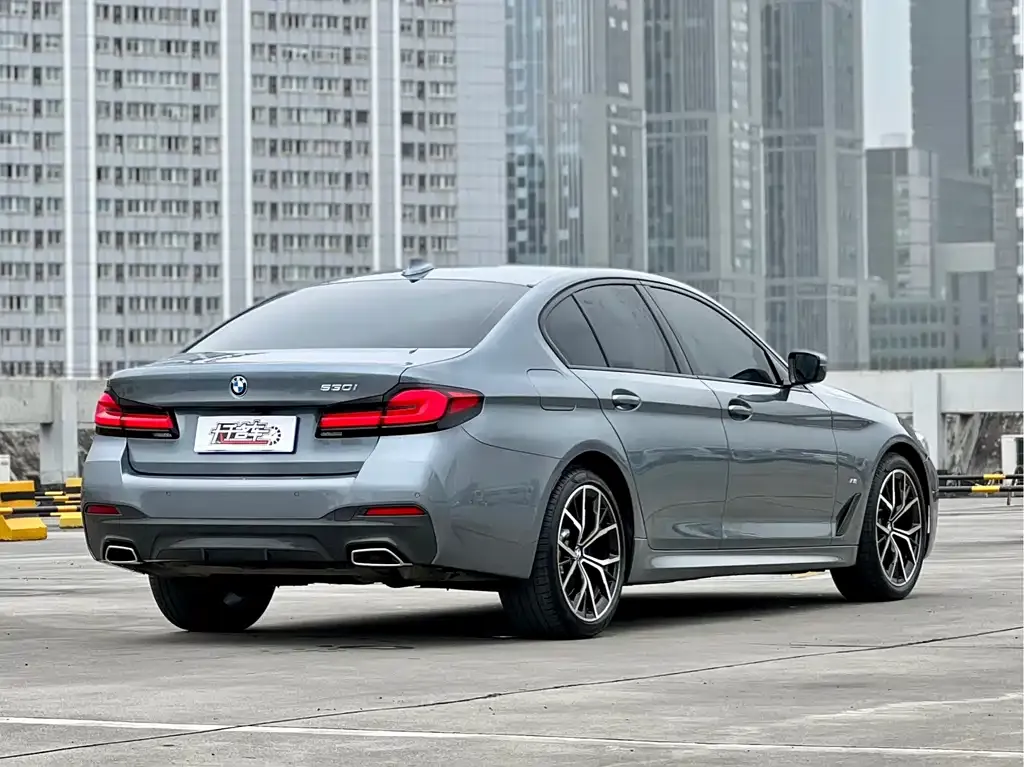 BMW 5 Series (Import) 2022 из CN, фото 4