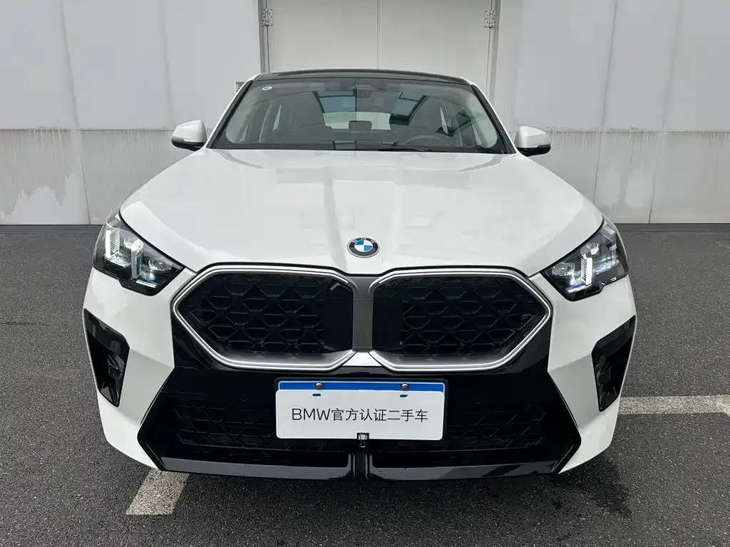 BMW X2 (Import) 2025 из CN, фото 2