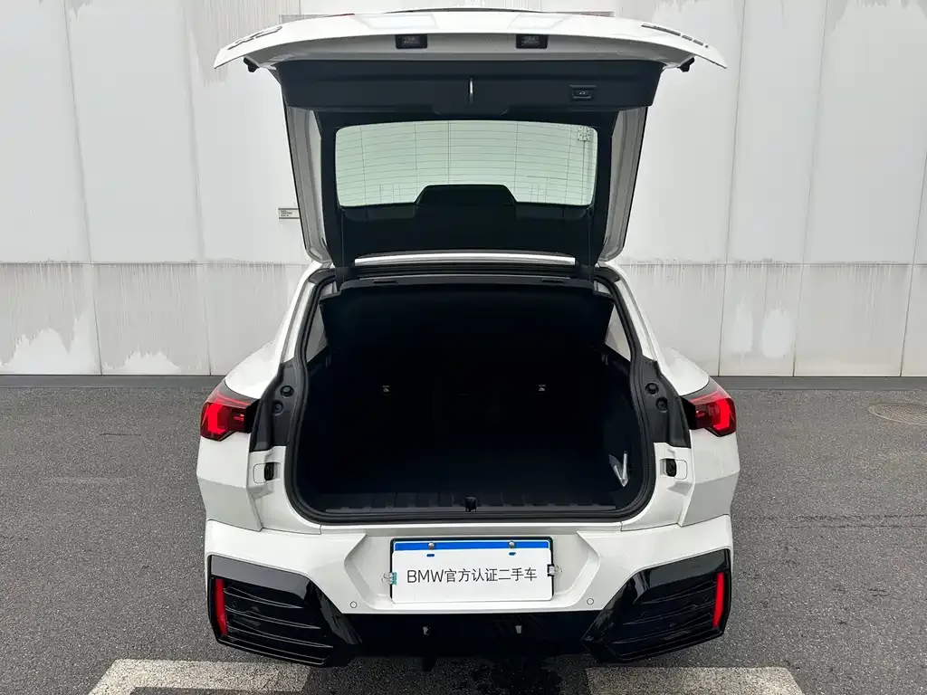 BMW X2 (Import) 2025 из CN, фото 9