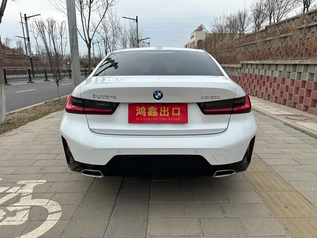 BMW 3 Series 2023 из CN, фото 8