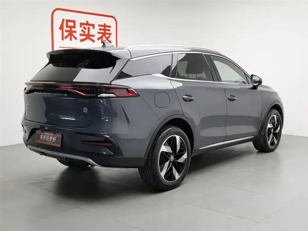 BYD Tang New Energy 2023 из CN, фото 10