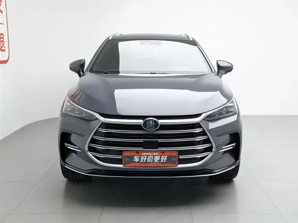BYD Tang New Energy 2023 из CN, фото 7