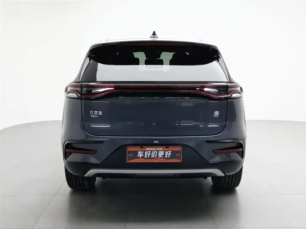 BYD Tang New Energy 2023 из CN, фото 2