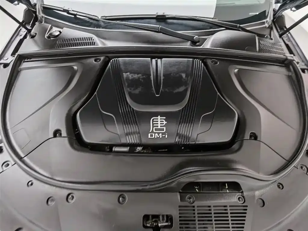 BYD Tang New Energy 2023 из CN, фото 6