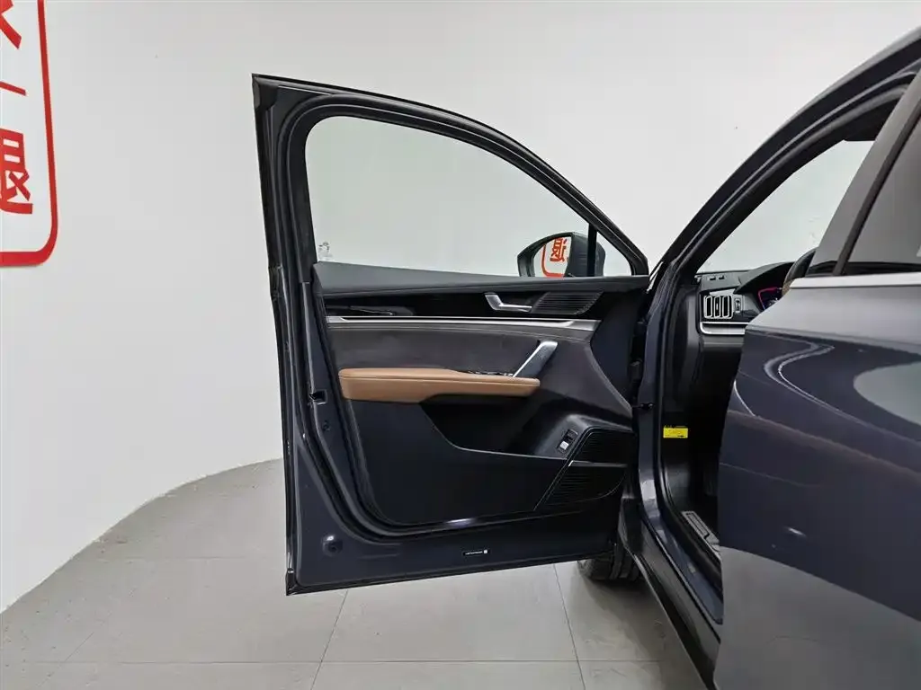 BYD Tang New Energy 2023 из CN, фото 3
