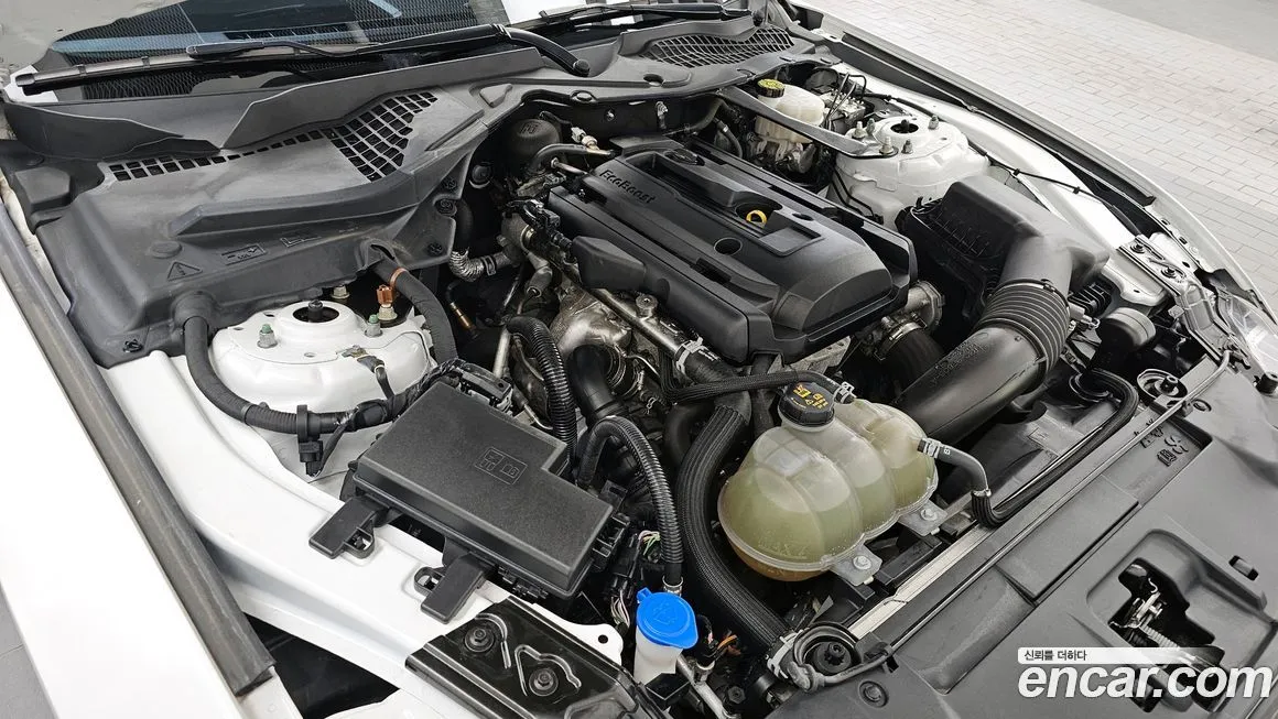 Ford Mustang 2022 из KR, фото 10