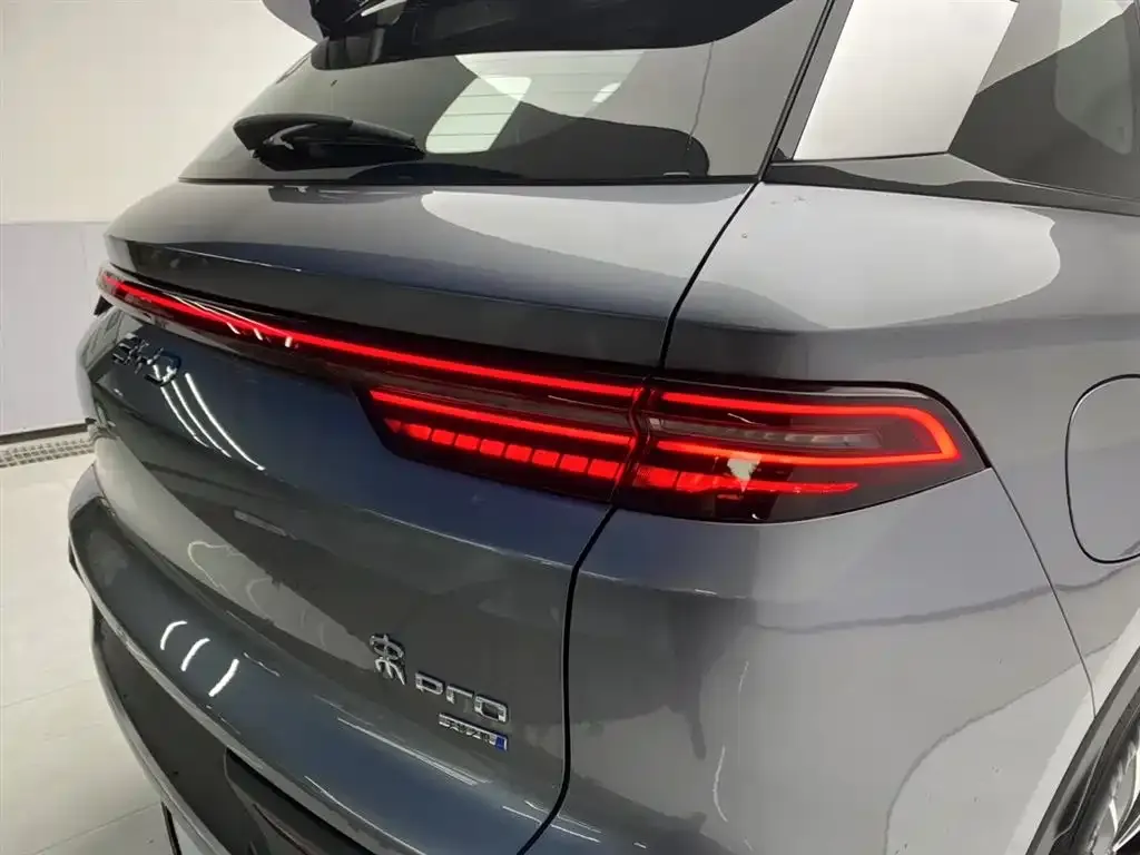 BYD Pro New Energy 2025 из CN, фото 2