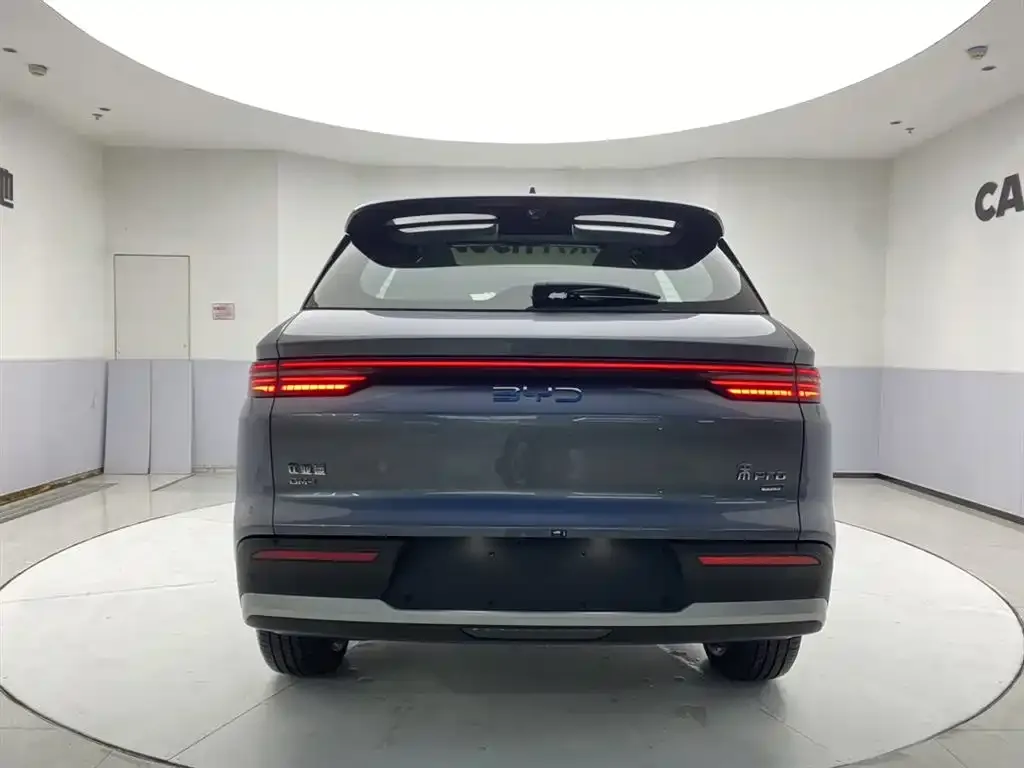 BYD Pro New Energy 2025 из CN, фото 5
