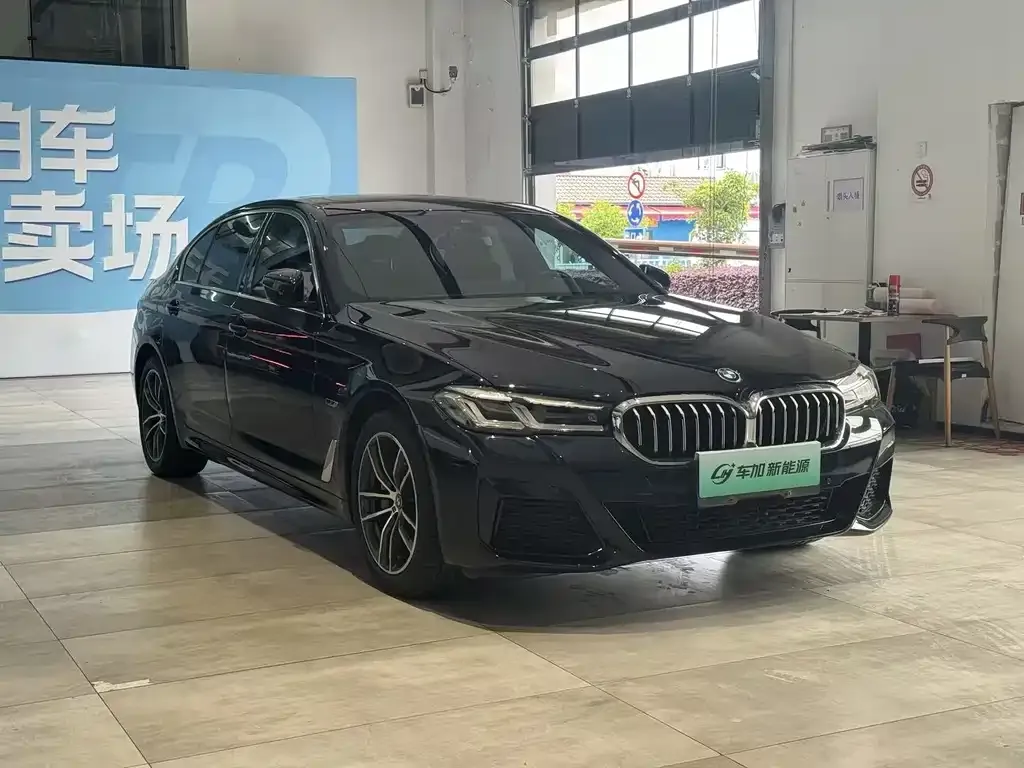 BMW 5 Series New Energy — фото 3