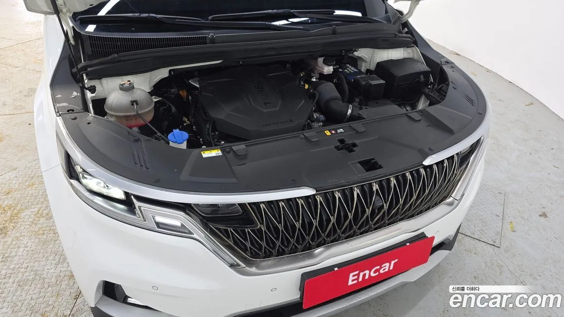 Kia Carnival — фото 10